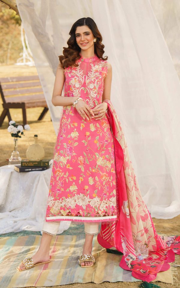 Meraki-Asifa-Nabeel-Anika