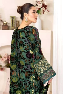 Pakistani-Winter-Velvet-Collection-2024-USA