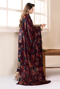 Pakistani-Winter-Velvet-Collection-2024-USA