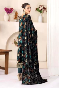Pakistani-Winter-Velvet-Collection-2024-USA
