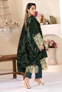 Pakistani-Winter-Velvet-Collection-2024-USA