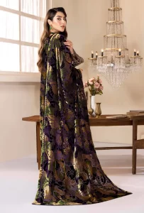 Pakistani-Winter-Velvet-Collection-2024-USA